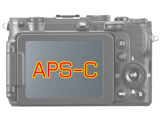 aps-1