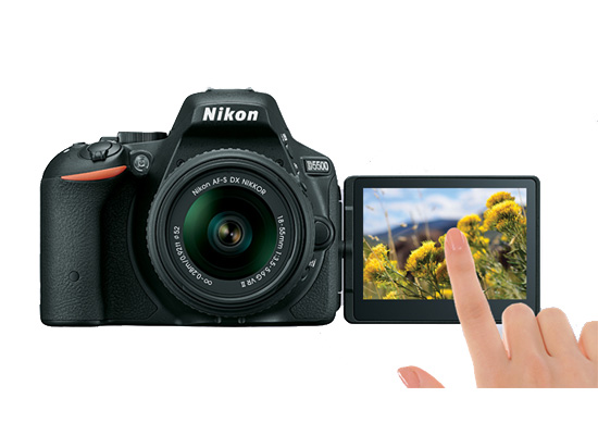 NikonD5500_1