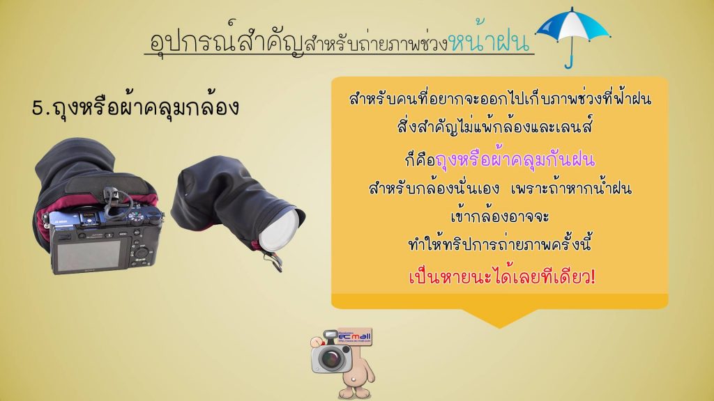 ecmall-8