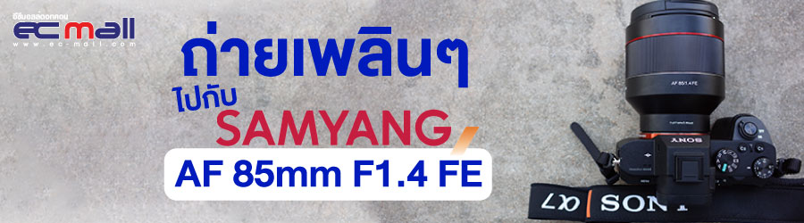 ถ่ายเพลินๆ ไปกับ Samyang AF 85mm F1.4 FE