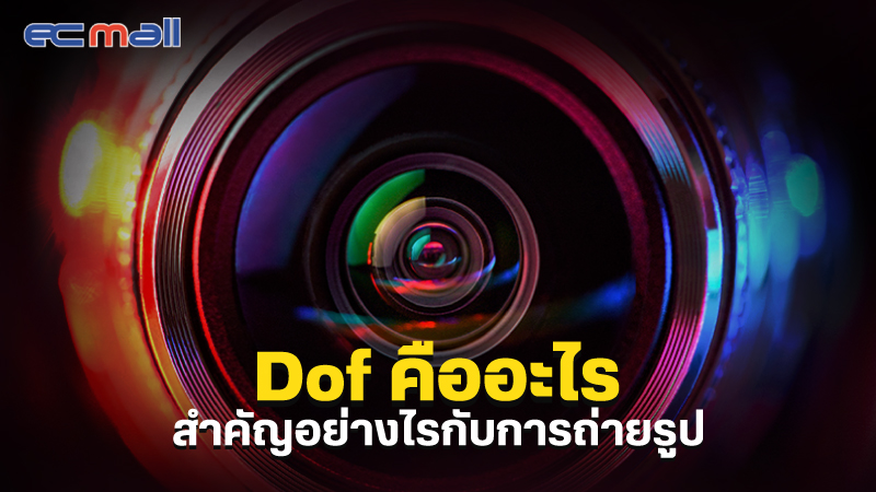Dof คืออะไร สำคัญอย่างไรกับการถ่ายรูป