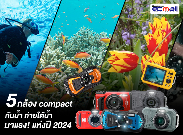 5 กล้อง Compact กันน้ำ ถ่ายใต้น้ำ มาแรง! แห่งปี 2024